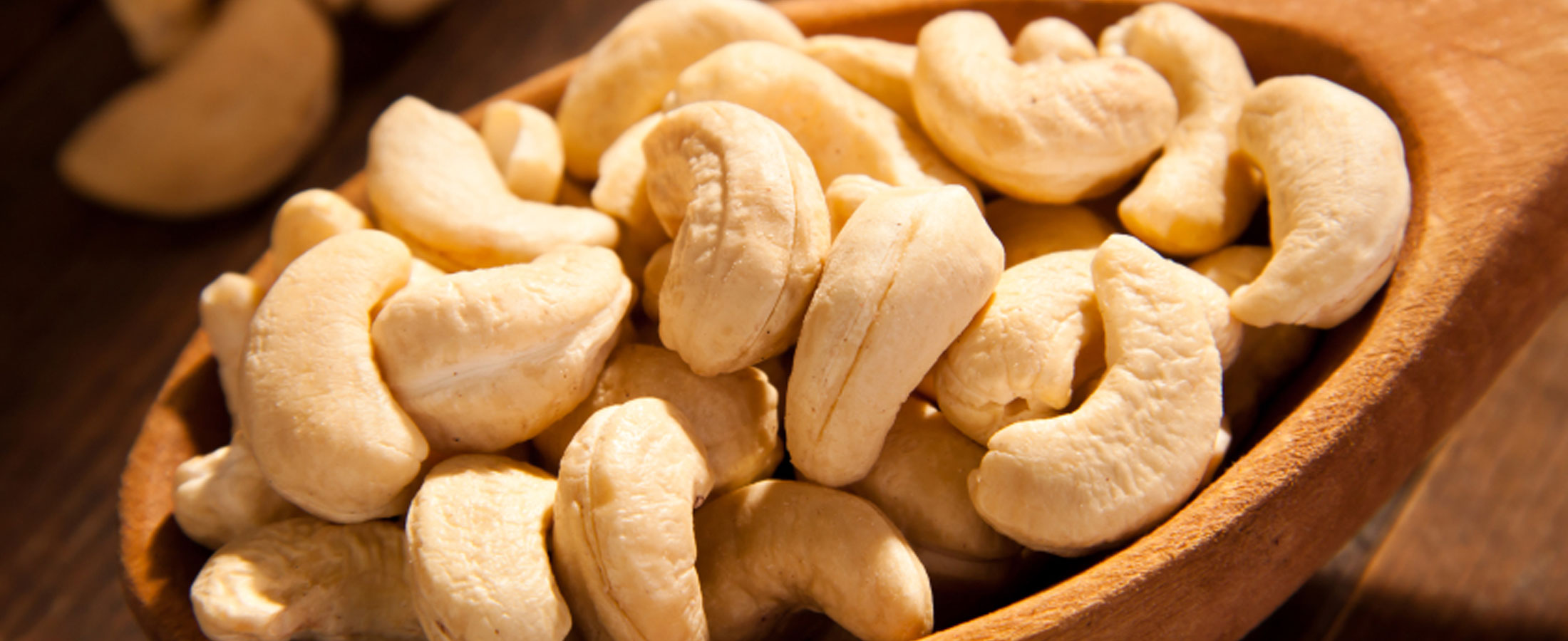 cashew nut dealers